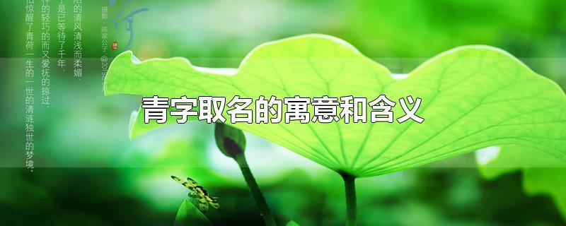 五行属水的字有哪些 起名五行属木的文字寓意大全_庚寅五行属什么_1981年属鸡的五行属什么