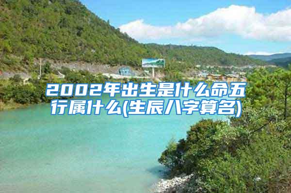 2002年出生是什么命五行属什么(生辰八字算名)