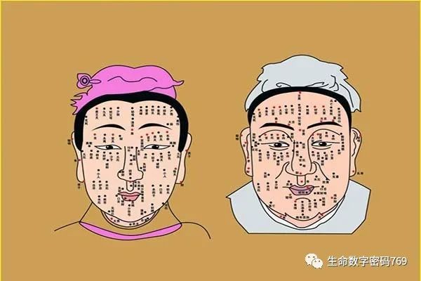 女生给男生看她的全身_看痣相算命女全身_看女五官面相算命图解