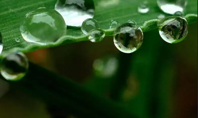 大林木命松柏木命石榴木命和么_石榴木命和沙中土命好不好_石榴木命与大溪水命