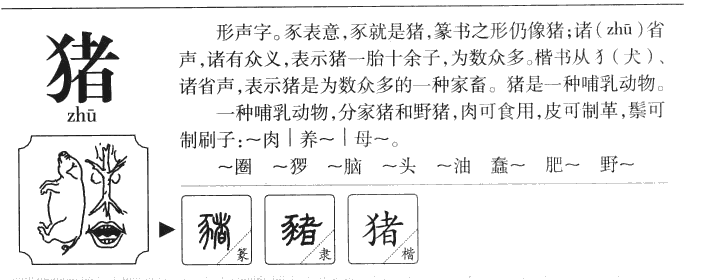 属狗的宝宝取名字宜忌_属猪适用取名的字_属猪取名宜忌用字大全