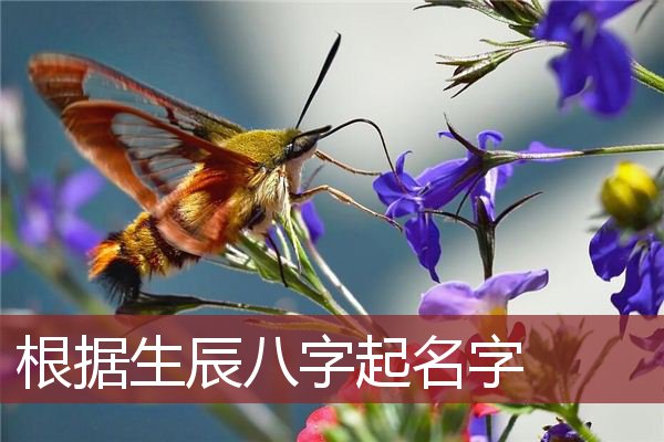 生肖起名法存在的误区_生肖起名宜忌可信吗_周易起名和生肖有冲突