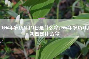 1996年农历5月24日是什么命(1996年农历4月初四是什么命)