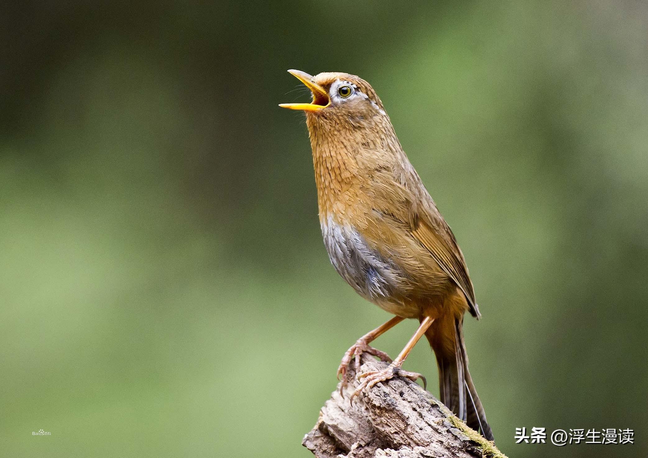 梅花易数怎么算婚姻_梅花易数算啥时间结婚_梅花易数算姻缘出现时间