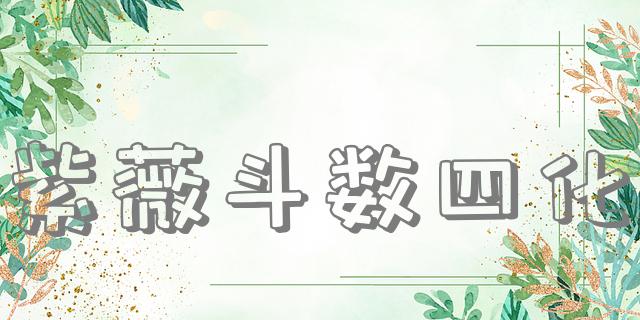 紫薇斗数四化