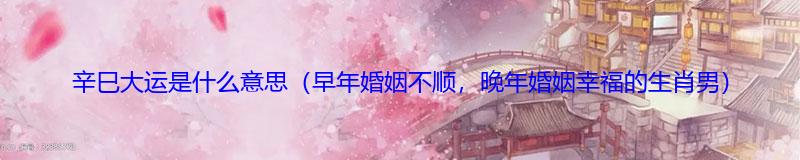 辛巳大运是什么意思（早年婚姻不顺，晚年婚姻幸福的生肖男）