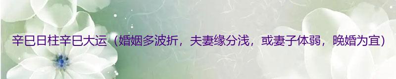 辛巳日柱辛巳大运（婚姻多波折，夫妻缘分浅，或妻子体弱，晚婚为宜）