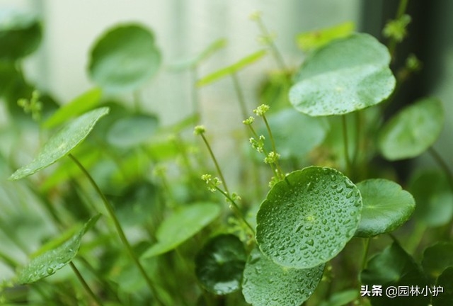 客厅排水 风水_客厅空调柜机怎么排水_客厅装修风水禁忌