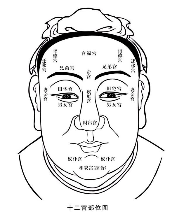 额头面相图解算命男人图片_额头男人面相算命图解_额头面相算命图解大全