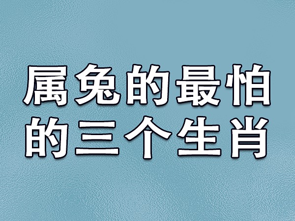 1996年属鼠的配鼠好吗_属猪男和属女鼠_兔兔和属鼠