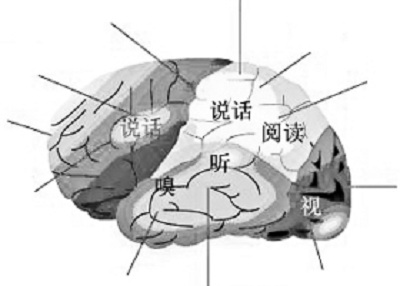 杀人倾向测试题:变态测试题