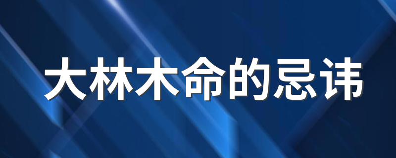 木命大林木什么意思_88年大林木命_木命大林木