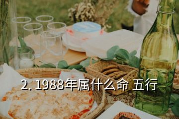 2. 1988年属什么命 五行