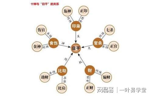 八字十神关系图表_八字十神关系表_八字和十神的关系