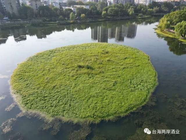 辛亥武昌首义_武昌辛亥首义文化节_武昌辛亥首义事件