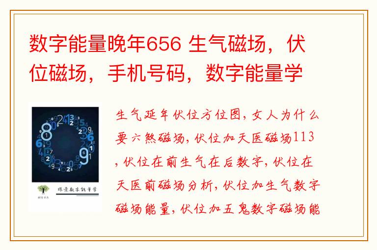 数字能量晚年656 生气磁场，伏位磁场，手机号码，数字能量学