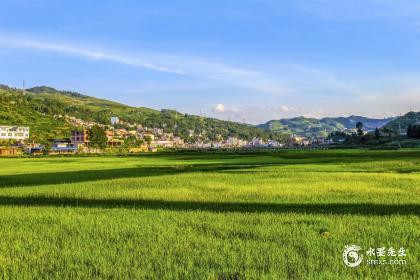 壁上土五行缺土_壁上土命五行缺什么_壁上土五行缺火起名