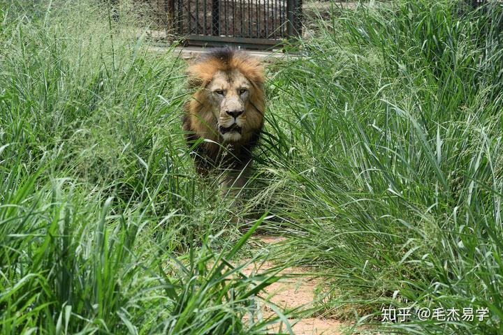 卧室适合挂多少寸电视_卧室适合挂多大照片风水好_风水上卧室多大合适