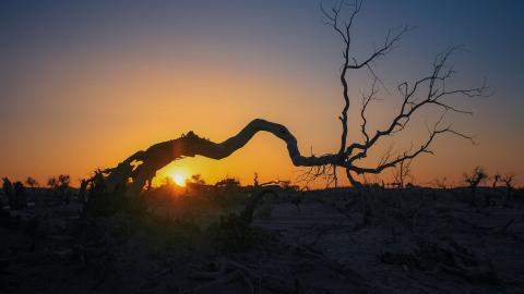 丁巳年2023年运程_丁巳年出生人的财运详解_丁巳年出生今年运气