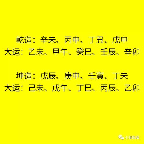 戊戌生人命运_戊戌生人宜葬什么山向_戊戌日生人