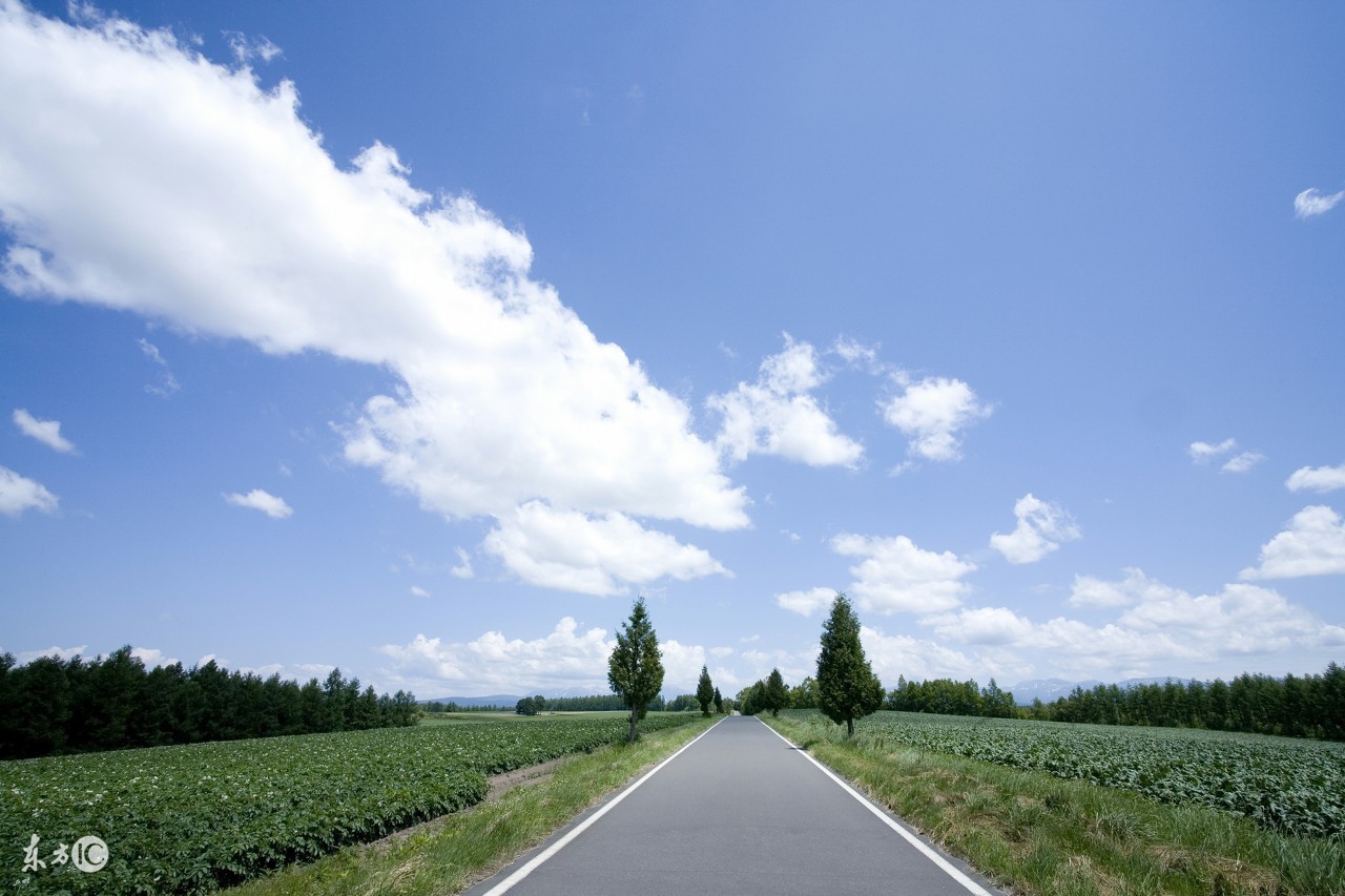 胎元丙申_胎元丙午_丙辰胎元好命