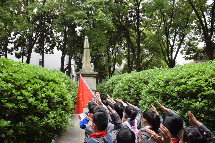 辛亥革命简介历史概括_辛亥革命的历史简介_辛亥革命历史简介