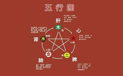 平地木命几等命_木命平地木是什么意思_平地木命是土命还是木命